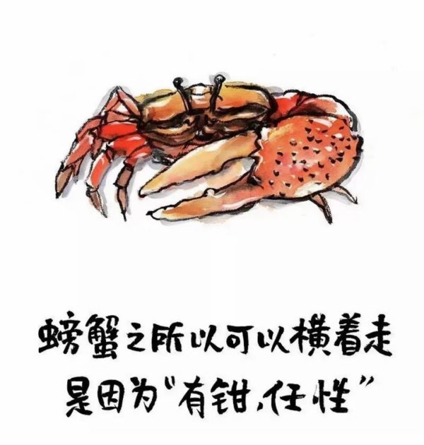 怎么投诉快递小哥不上门取件?_快递鸟