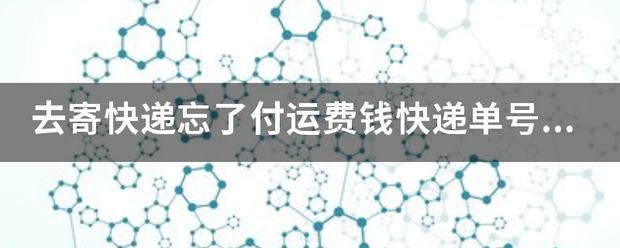 去寄快递忘了付运费钱单号还有用吗?_快递鸟