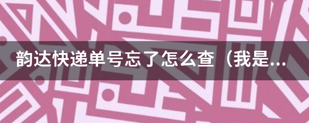 韵达快递单号忘了怎么查(我是件人)_快递鸟