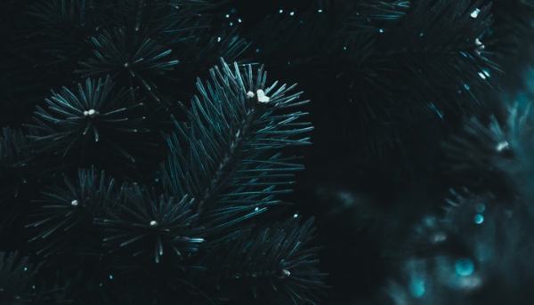 顺丰送货上门送上楼吗顺丰物流大件送货上楼吗_快递鸟