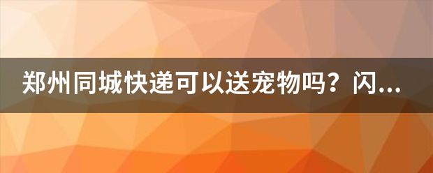郑州同城快递可以送宠物吗?闪送可以送吗?_快递鸟